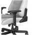 صندلی گیمینگ دی ایکس ریسر DXRacer Master Series 2025 XL